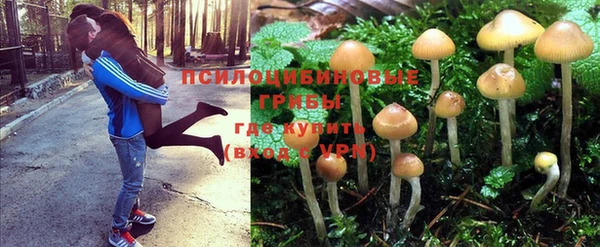 прущие крисы Абинск