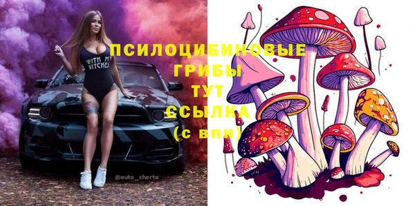 COCAINE Алексеевка