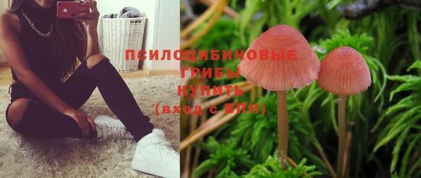 прущие крисы Абинск