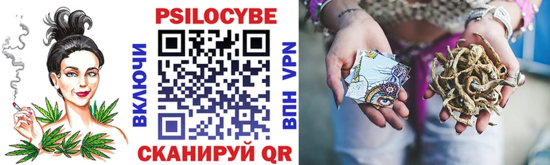 цены наркотик  Агрыз  hydra ссылка  Псилоцибиновые грибы Psilocybe 